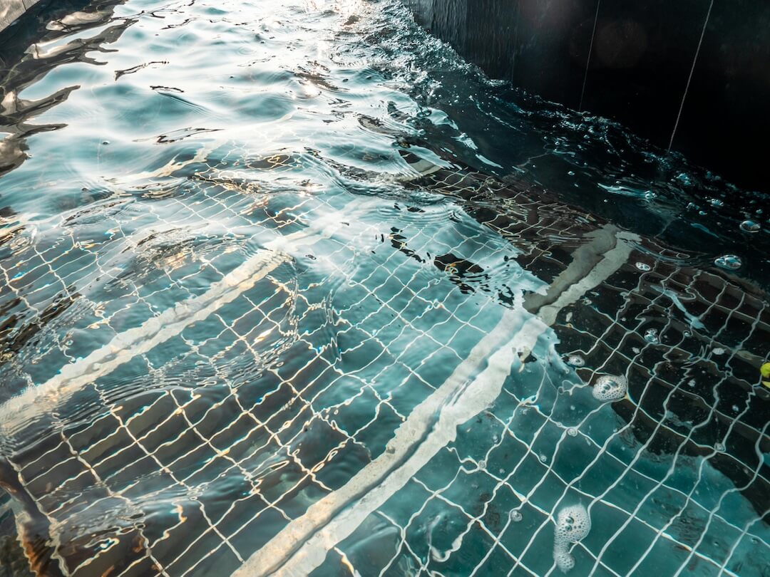 Florida Climate and Pool Health: Timing Is Everything Image